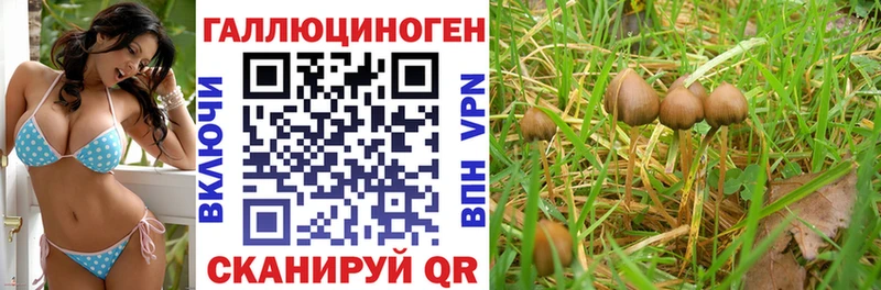 Галлюциногенные грибы мицелий  Зерноград 